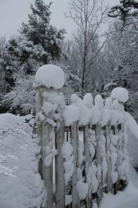 snow covered gate
