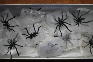 spider ice